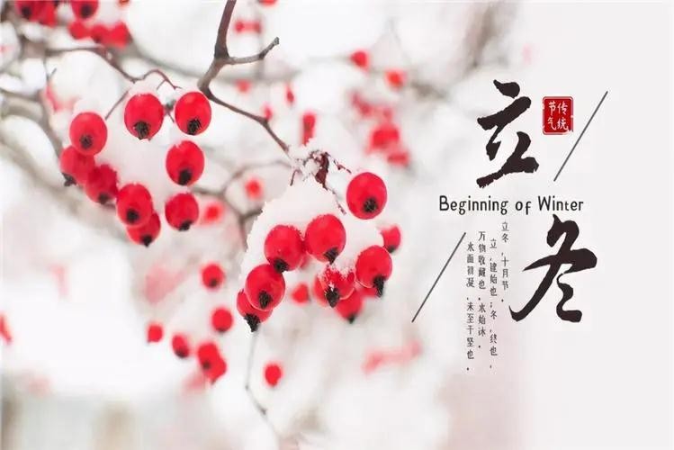 秋走冬又至，立冬啦